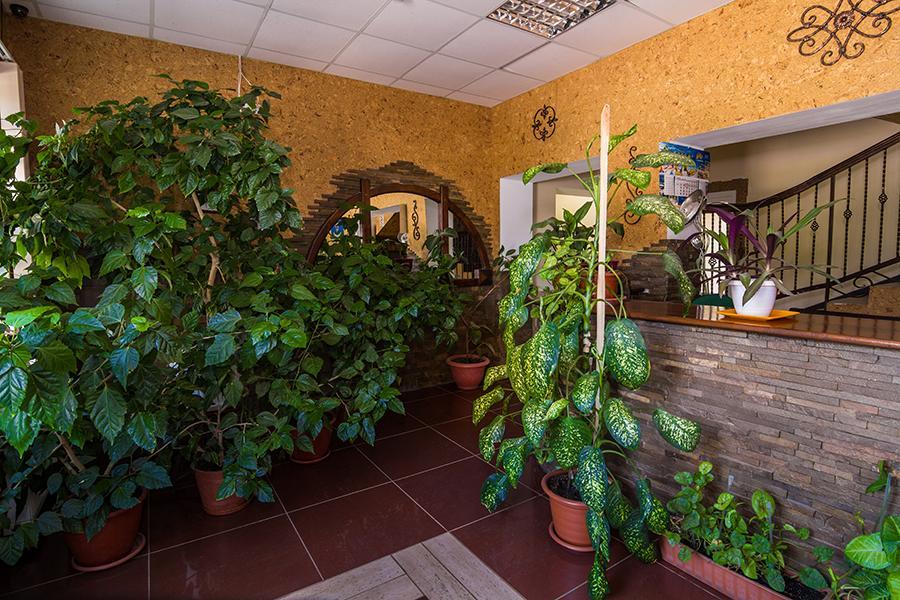 Hôtel Citadella à Skadovsʼk Extérieur photo